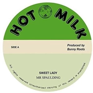Image of Mr Spaulding - Sweet Lady/Vision Vinyl