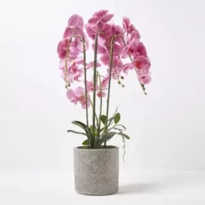 Image of Pink Orchid 82cm Phalaenopsis in Cement Pot Extra Large, 4 Stems - Pink - Homescapes
