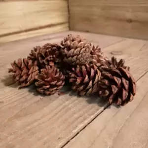 Image of Festive Pack of 12 x 4.5cml Natural Decorative Pinecones for Wreaths & Garlands