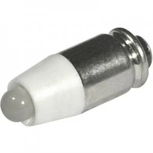 Image of LED bulb T1 34 MG Warm white 12 Vdc 12 V AC 1260 mcd CML