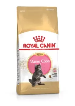 Image of Royal Canin Maine Coon Kitten Dry Food 10kg
