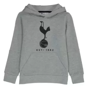Image of Source Lab Lab Spurs OTH Hoodie Junior Boys - Grey
