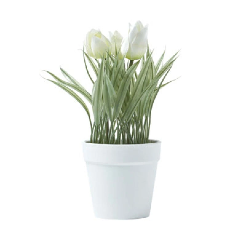 Image of Homescapes Artificial Tulips in White Decorative Pot, 22cm Tall White