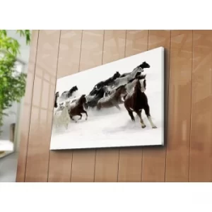 Image of 5070C-43 Multicolor Decorative Canvas Painting