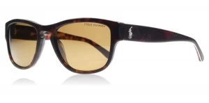 Image of Polo Ralph Lauren PH4086 Sunglasses Tortoise 551983 Polariserade 54mm