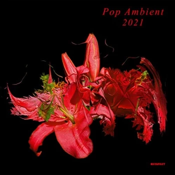 Image of Various Artists - Pop Ambient 2021 Vinyl