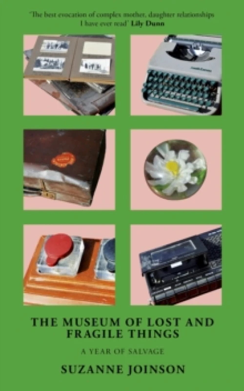 Image of The Museum of Lost and Fragile Things : A Year of Salvage Paperback / softback