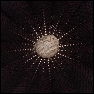 Image of Nat Baldwin - In The Hollows Vinyl