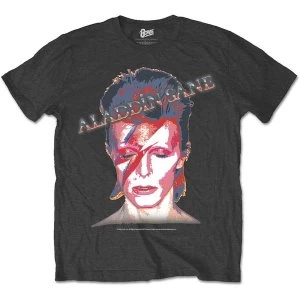 Image of David Bowie - Aladdin Sane Unisex Medium T-Shirt - Grey