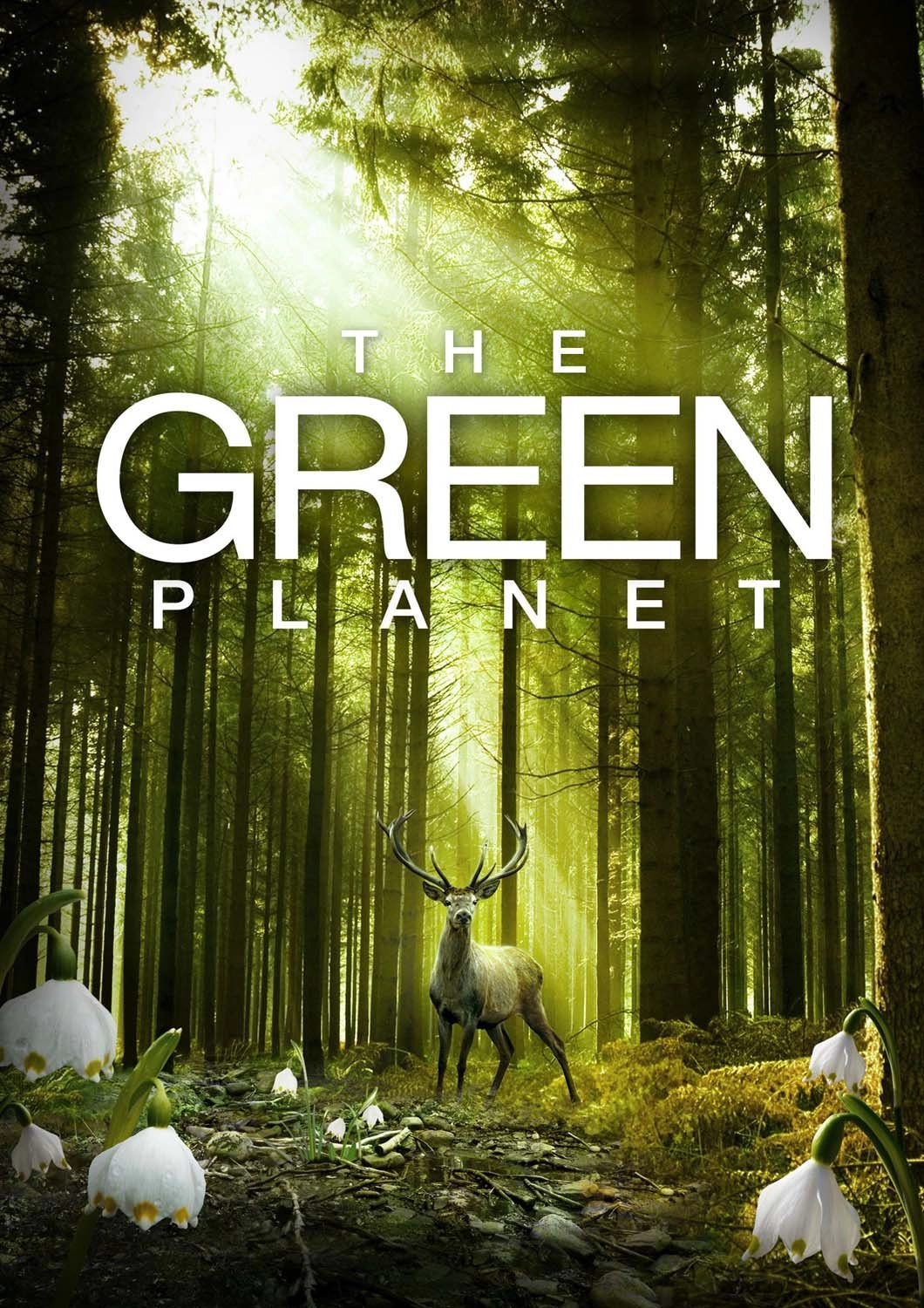Image of The Green Planet - DVD