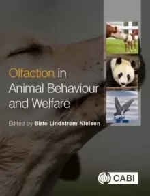 Image of Olfaction in Animal Behaviour and Welfare