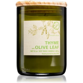 Image of Paddywax Eco Green Thyme & Olive Leaf Scented Candle 226g