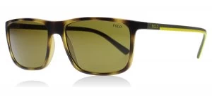 Image of Polo Ralph Lauren PH4115 Sunglasses Matte Tortoise 560273 57mm