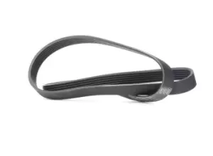 Image of SKF V-ribbed belt FIAT,PEUGEOT,TOYOTA VKMV 6PK1244 5750YX,5750YX,SU001A2685