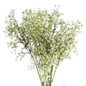 Image of White Wildflower Spray