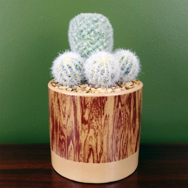 Image of Leaf 20cm Artificial Cactus Plant Arrangement in Ceramic Planter Green unisex