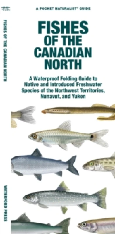 Image of Fishes of the Canadian North Pamphlet