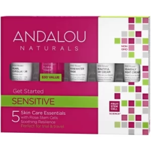 Image of Andalou Naturals 1000 Roses Get Started Kit 5 Pieces