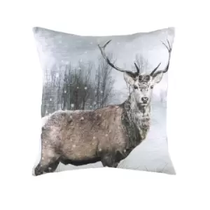 Image of Evans Lichfield Photo Stag Cushion Cover (43cm x 43cm) (Multicoloured)