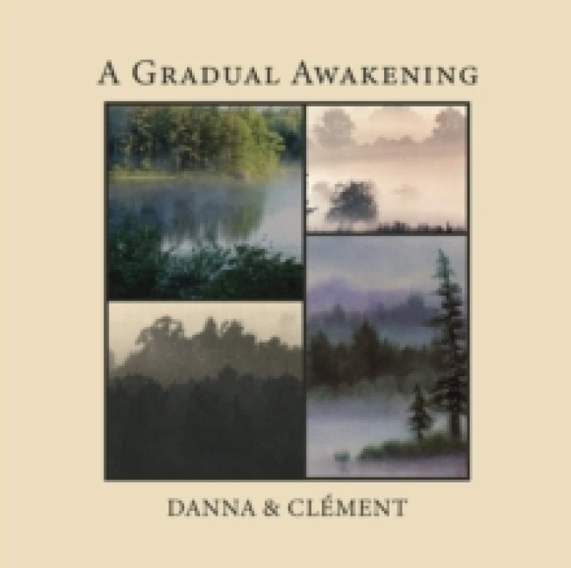 Image of A gradual awakening Vinyl