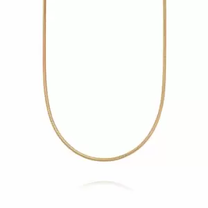Image of Daisy London 18ct Gold Plate Round Snake Chain Necklace 18ct Gold Plate