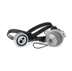 Image of INA Water Pump + Timing Belt Kit PEUGEOT,CITROEN 530 0016 30 0000082919,0000082954,081637 081644,081645,082053,082919,082929,082954,1201E3,120718