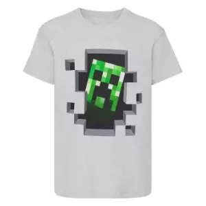 Image of Minecraft Childrens/Kids Creeper T-Shirt (5-6 Years) (Grey)