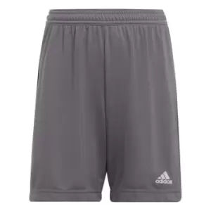 Image of adidas ENT22 Shorts Juniors - Grey