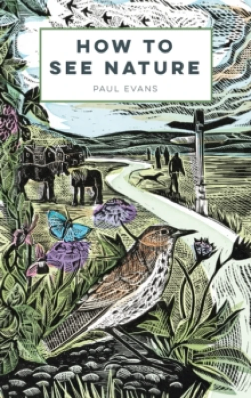 Image of How to See Nature Paperback / softback