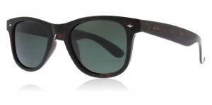 Image of Polaroid PLD1016/S Sunglasses Havana V08 Polariserade 50mm