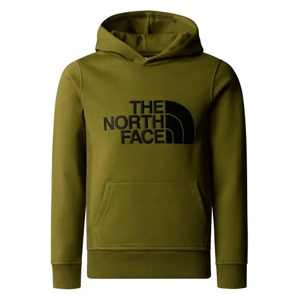 Image of The North Face Teens' Drew Peak Hoodie - Green S