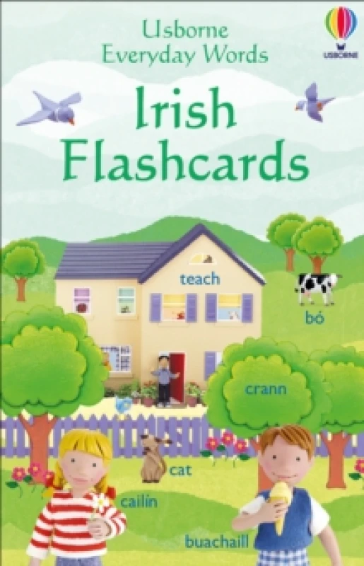 Image of Everyday Words in Irish Flashcards Cards
