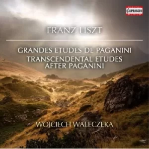 Image of Franz Liszt Grandes Etudes De Paganini/ by Franz Liszt CD Album