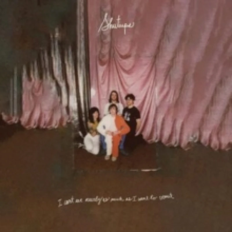 Image of I Can't Eat Nearly As Much As I Want to Vomit Vinyl