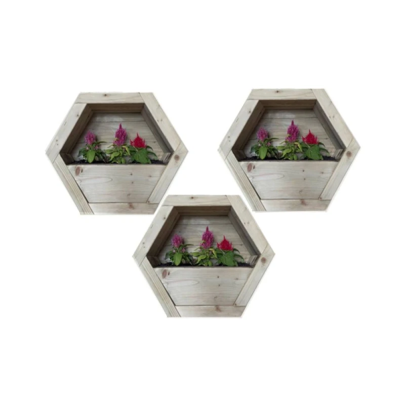 Image of Buttercup Farm Hanging Wooden Hexagon Wall Planter (Set of 3) - L16 x W54 x H47cm in Light Brown Light Brown Unisex