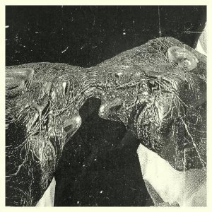 Image of Secret Boyfriend ‎- Memory Care Unit Vinyl