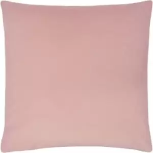 Image of Evans Lichfield Sunningdale Plush Cushion Cover, Powder, 50 x 50 Cm