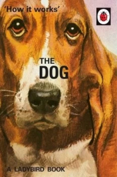 Image of The Dog by Jason Hazeley Hardback