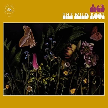 Image of Ae3 (Alan Evans Trio) - The Wild Root Vinyl