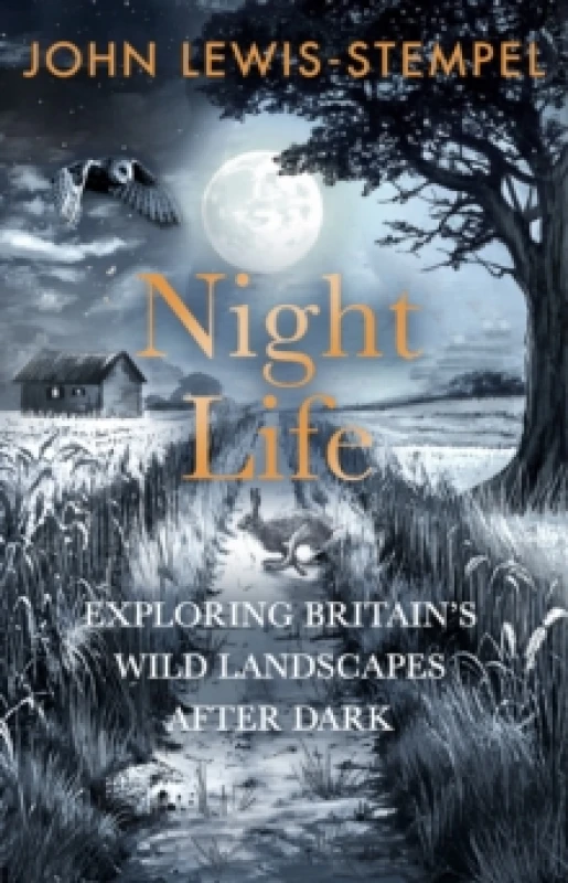 Image of Night Life : Walking Britains wild landscapes after dark Hardback