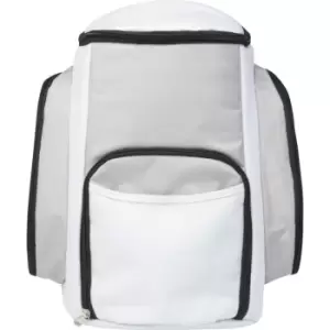 Image of Bullet Brisbane Cooler Bag (42.5cm x 29cm x 18.5cm) (Grey/White)