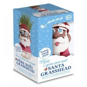 Image of Santa Grass Head Toy
