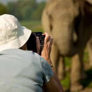 Image of Red Letter Days Safari Park Photography