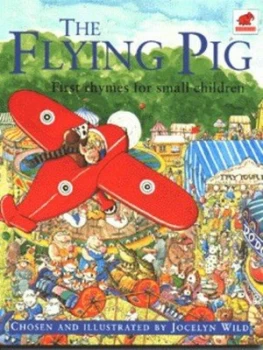 Image of The Flying Pig by Jocelyn Wild Book