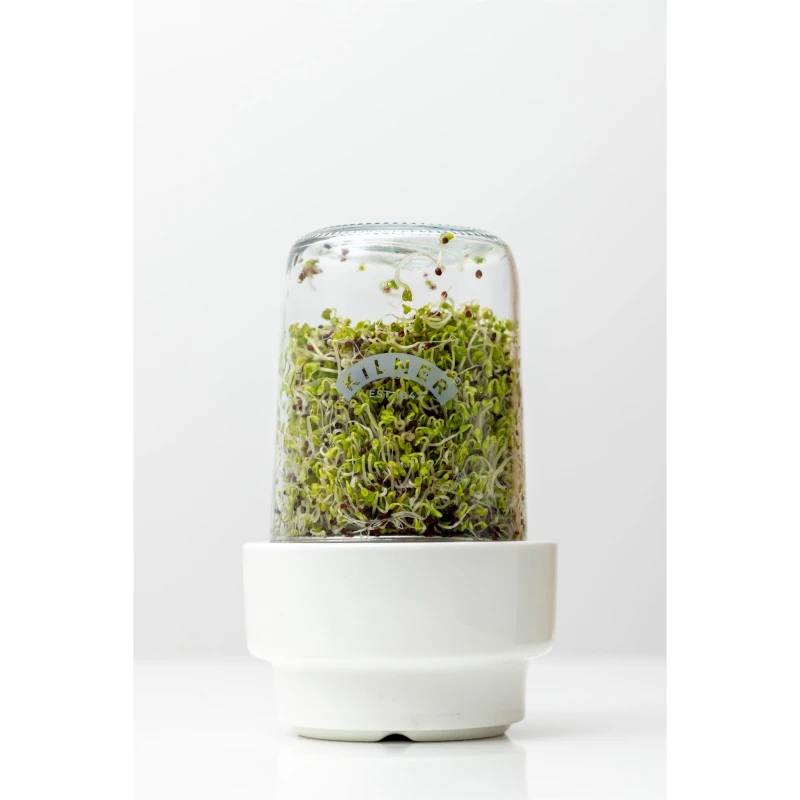 Image of Kilner Seed Sprouting Set Clear unisex One