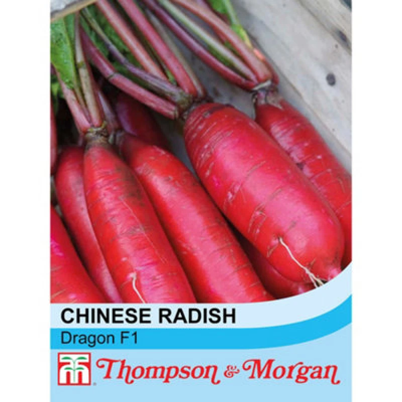 Image of Thompson & Morgan Radish (Chinese) Dragon F1 Hybrid 1 Seed Packet