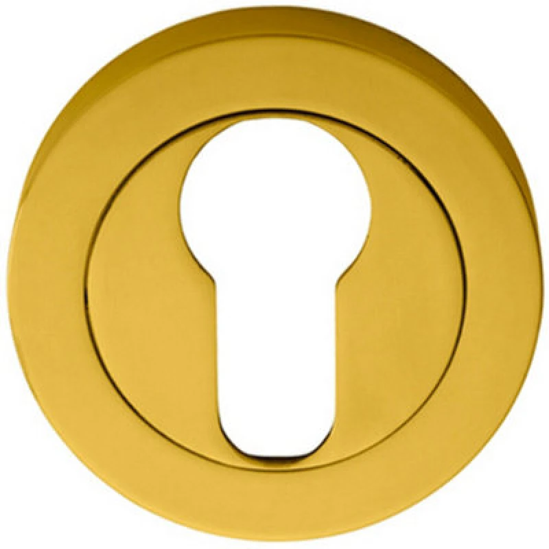 Image of Loops 50mm Euro Profile Escutcheon Concealed Fix Polished Brass Keyhole Cover Metallics unisex