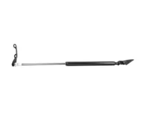 Image of RIDEX Tailgate strut TOYOTA 219G0421 6896005925