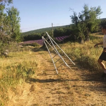 Image of Caroline - Dark Blue Vinyl