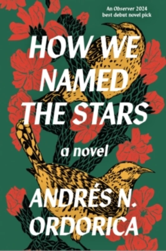 Image of How We Named the Stars Paperback / softback
